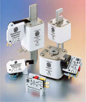 bussmann熔斷器170M有哪些型號？